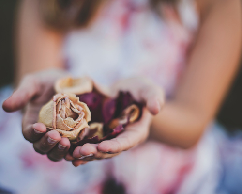 Reiki Course